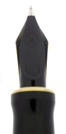 1996 PARKER JADE DUOFOLD CENTENNIAL 18K XF NIB FOUNTAIN PEN OFFERED BY ANTIQUE DIGGER