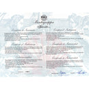 1997 MONTEGRAPPA APHRODITE STERLING SILVER LIMITED EDITION 511/1912 FOUNTAIN PEN BOXED MINT OFFERED BY ANTIQUE DIGGER