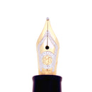 1999 MONTBLANC 75 ANNIVERSARY SPECIAL EDITION 145 CLASSIQUE FOUNTAIN PEN NEVER INKED OFFERED BY ANTIQUE DIGGER