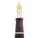 1999 VISCONTI RICHELIEU LIMITED EDITION 117/365 RUBIES AND STERLING SILVER FOUNTAIN PEN NEVER INKED OFFERED BY ANTIQUE DIGGER