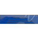 2000 AURORA MARE LIMITED EDITION 18K MED NIB FOUNTAIN PEN NEVER INKED OFFERED BY ANTIQUE DIGGER