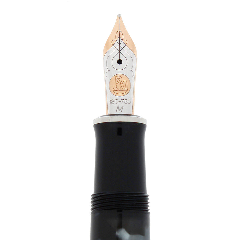 2003 PELIKAN M620 SPECIAL EDITION CITY SERIES CHICAGO FOUNTAIN PEN NEVER INKED OFFERED BY ANTIQUE DIGGER