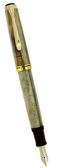 MINT 2005 PELIKAN M620 SPECIAL EDITION PIAZZA NAVONA ROME FOUNTAIN PEN W/BOX NEVER INKED