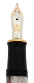 MINT 2005 PELIKAN M620 SPECIAL EDITION PIAZZA NAVONA ROME FOUNTAIN PEN W/BOX NEVER INKED