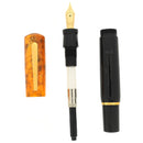 2006 DELTA PLANET COLLECTION BROWN/AFRICA SPECIAL EDITION FOUNTAIN PEN NEW IN BOX DISCONTINUED OFFERED BY ANTIQUE DIGGER