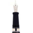 2007 AURORA EURPOA LIMITED EDITION 4180 OF 7500 W/18K MEDIUM NIB FOUNTAIN PEN NEVER INKED OFFERED BY ANTIQUE DIGGER