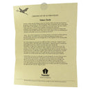 CIRCA 2008 NAMIKI YUKARI MAKI-E TURTLES 18K BROAD NIB FOUNTAIN PEN NEVER INKED OFFERED BY ANTIQUE DIGGER