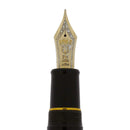 RARE 2005 SAILOR KING OF PEN MAKI-E KOI BY ARTIST NISHIHARA LIMITED EDITION 2/10 FOUNTAIN PEN