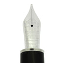 NEVER INKED 2009 MONTBLANC THOMAS MANN WRITER'S SERIES LIMITED EDITION 5366/12000 FOUNTAIN PEN OFFERED BY ANTIQUE DIGGER