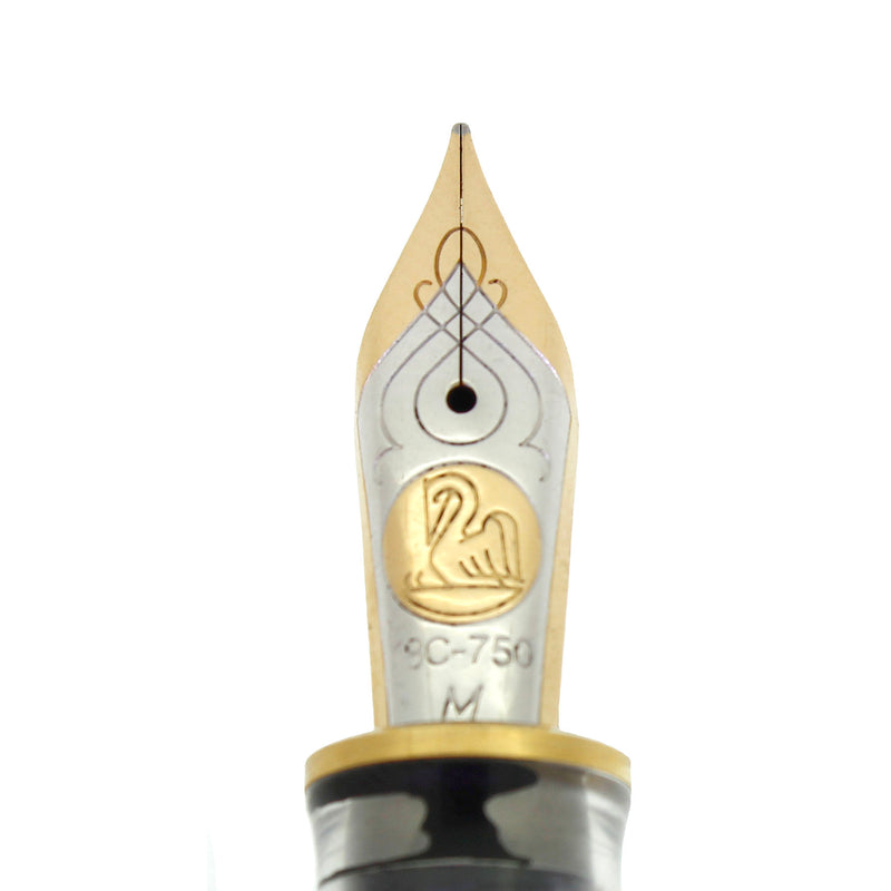 C2010 PELIKAN M800 SOUVERAN CLEAR DEMONSTRATOR 18K MED NIB FOUNTAIN PEN OFFERED BY ANTIQUE DIGGER