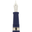 2011 AURORA TORINO SPECIAL EDITION 150TH ANNIVERSARY OF ITALIAN UNIFICATION STERLING CAP 18K MEDIUM NIB FOUNTAIN PEN NEVER INKED OFFERED BY ANTIQUE DIGGER