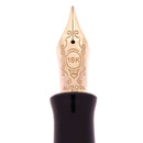 2012 AURORA DANTE INFERNO LIMITED EDITION 481/1265 FOUNTAIN PEN NEVER INKED OFFERED BY ANTIQUE DIGGER