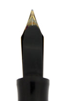 C1925 WATERMAN 452 STERLING PANSY PANEL XF-BBB NIB FOUNTAIN PEN RESTORED OFFERED BY ANTIQUE DIGGER