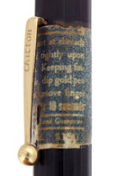 CIRCA 1925 CHILTON BOSTON BLACK HARD RUBBER FOUNTAIN PEN STICKERED MINT CONDITION OFFERED BY ANTIQUE DIGGER