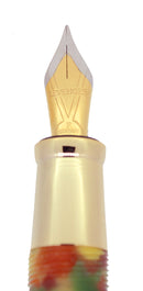 CIRCA 2013 LEVENGER TRUE WRITER FOLIAGE FOUNTAIN PEN NOS MINT IN BOX