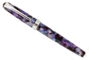 CIRCA 2011 LEVENGER TRUE WRITER ULTRA VIOLET FOUNTAIN PEN NOS MINT IN BOX