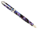 CIRCA 2011 LEVENGER TRUE WRITER ULTRA VIOLET FOUNTAIN PEN NOS MINT IN BOX