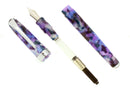 CIRCA 2011 LEVENGER TRUE WRITER ULTRA VIOLET FOUNTAIN PEN NOS MINT IN BOX