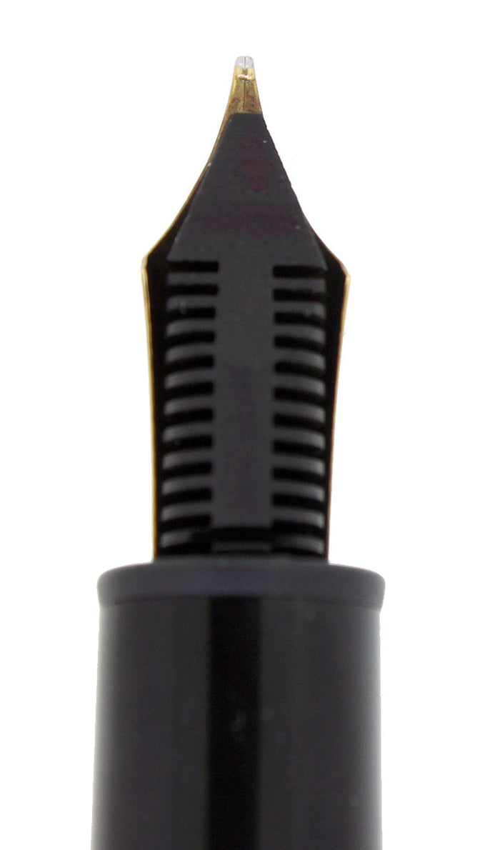 Montblanc146WGermanFountainPen