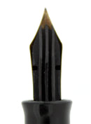 CIRCA 1938 PELIKAN 100N FOUNTAIN PEN LIZARD CELLULOID PATTERN F-BB NIB RESTORED OFFERED BY ANTIQUE DIGGER