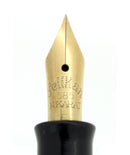 CIRCA 1938 PELIKAN 100N FOUNTAIN PEN LIZARD CELLULOID PATTERN F-BB NIB RESTORED OFFERED BY ANTIQUE DIGGER