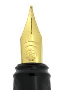 NEW OLD STOCK PELIKAN GO! FOUNTAIN PEN MEDIUM NIB ORIGINAL BOX OFFERED BY ANTIQUE DIGGER