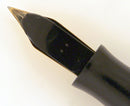 1920s WATERMAN 52V BCHR FOUNTAIN PEN NICKEL TRIM F to BBB+ FLEX NIB RESTORED OFFERED BY ANTIQUE DIGGER