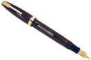 WATERMAN OVERSIZE EMBLEM 100 YEAR FOUNTAIN PEN WITH F to BBB 2.21MM ULTRA-FLEX NIB OFFERED BY ANTIQUE DIGGER