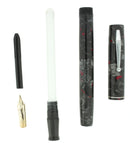 WATERMAN 3 GREY PEARL CELLULOID FOUNTAIN PEN XF-BBB FLEX NIB RESTORED OFFERED BY ANTIQUE DIGGER