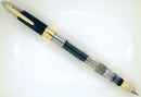 RARE 1950s SHEAFFER SNORKEL DEMONSTRATOR FOUNTAIN PEN 14K MEDIUM NIB RESTORED